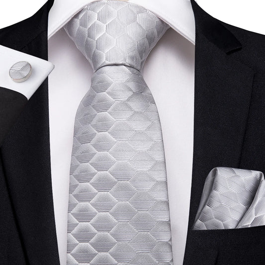 Silver Fish Scales Silk Tie Set - Masculine Clothes