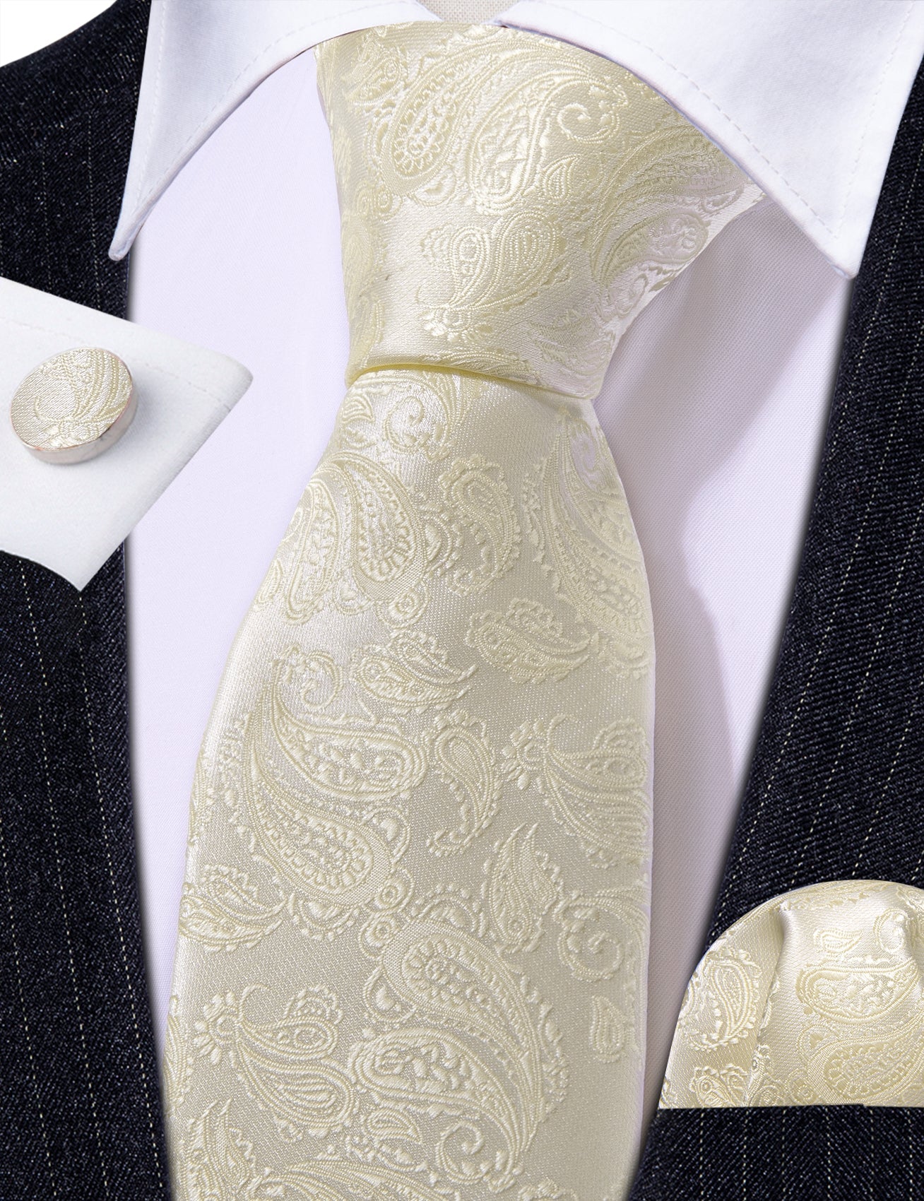 Champagne Leaves Paisley Silk Tie Set