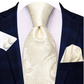 Creamy White Paisley XL Tie Paisley Silk Tie Set