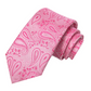 Pink Leaves Paisley Silk XL Tie Set