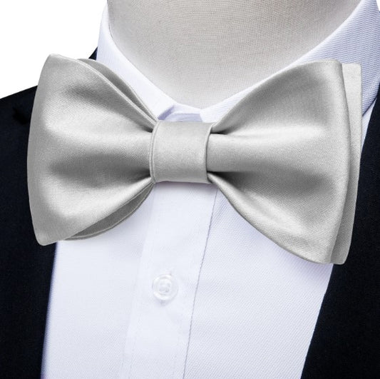 Silver Silk Bow Tie Set