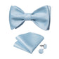 Baby Blue Bow Tie Set